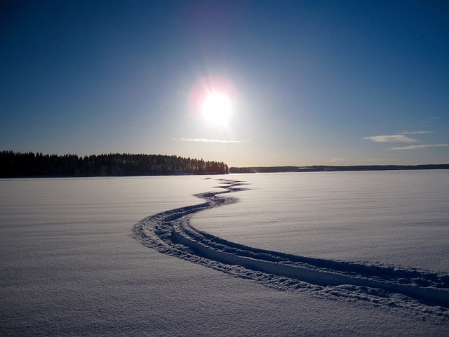 sníh